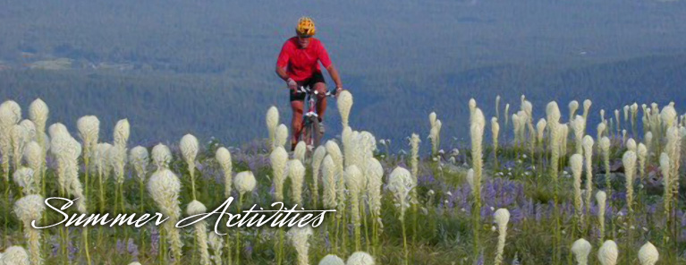biking-new