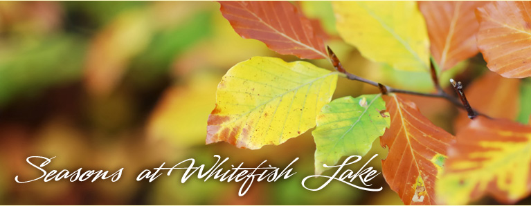 season-header