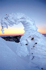 Snow Ghost